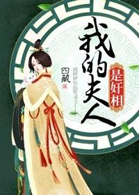 我的夫人是奸相 四藏
