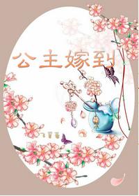 公主嫁到电视剧在线观看免费国语版