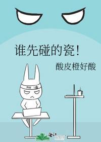 谁先碰的瓷书评