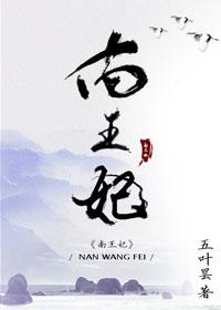 南王妃全文在线阅读