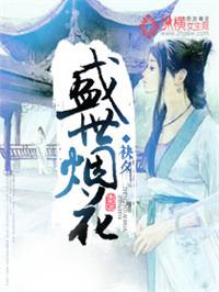盛世烟花英文