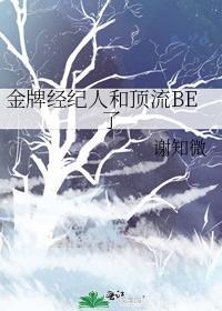 金牌经纪人娱乐圈