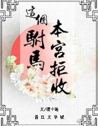 这个驸马不好当txt