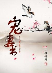宠妻书生萧仄笔趣阁