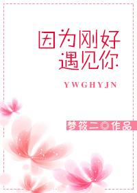 因为刚好遇见你是什么歌