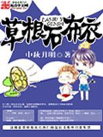 草根石布衣 第87章