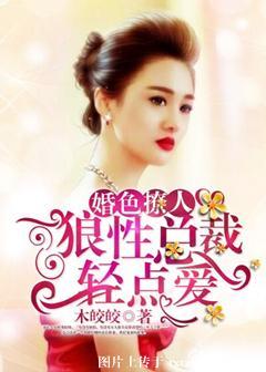 狼性总裁轻轻爱
