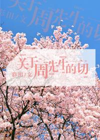 周先生的坎坷二婚
