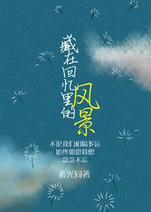 藏在回忆里的风景讲的是什么
