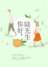 知乎你好陆先生