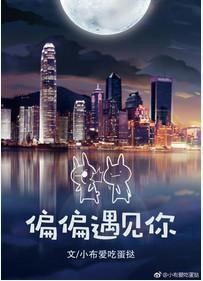 偏偏遇见你歌词是什么意思