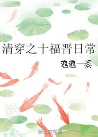 清穿之十福晋查查免费