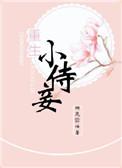重生侍妾进阶录免费观看