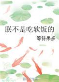 朕不是吃软饭的 番外