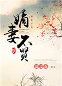 嫡妻不贤格格党