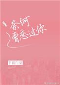 奈何曾恋过你半截白菜全文免费阅读