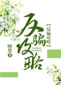 反骗攻略(快穿)h
