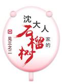 沈大人家的石榴树 番外