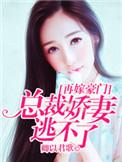 再嫁总裁前妻不掉价