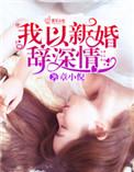 我以新婚辞深情青瓷陆敬修