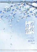 春夜喜你全文阅读