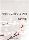 宰辅夫人的荣宠之路漫画