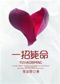 一招毙命讲的什么