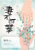妻不可攀txt资源全本