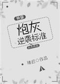 炮灰逆袭标准(快穿)晋江