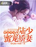 婚途漫漫陆少蜜宠娇妻免费阅读