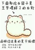 你尾巴戳到我了什么意思