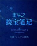 拣宝生涯txt