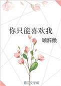 你只能喜欢我无防盗章全文