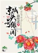 京城头号绯闻御书屋