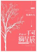 手可摘星辰的上一句
