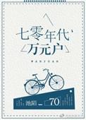 七零年代万元户 无防盗