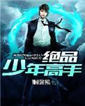 绝品少年高手2
