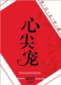 心尖宠娱乐圈无弹窗