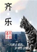 齐乐之声音响属于什么品牌