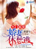 军门霸爱娇妻怀里