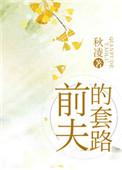 前夫的套路秋凌免费阅读