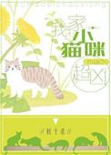 我家小猫咪超凶全文免费阅读