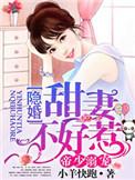 帝少溺宠 隐婚甜妻不好惹