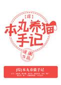 本丸养猫日常