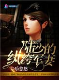 陆少的顽固军妻