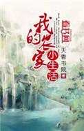 我的农家小院儿