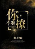 你不准撩txt