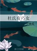 杜氏有巧女 无防盗