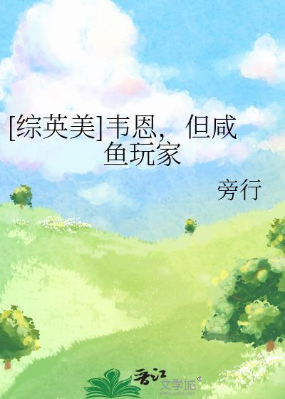 综英美之韦恩