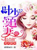 花式甜宠叶少枕妻入眠全文免费阅读